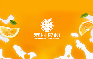 某良橙——安康LOGO设计
