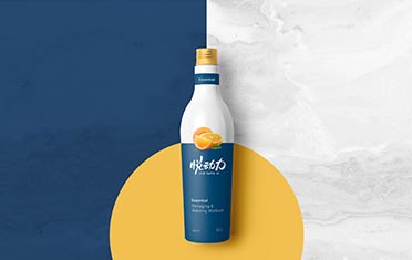安康某动力 品牌设计