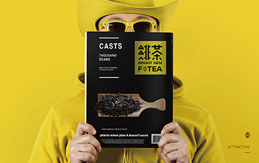 安康绯茶品牌设计
